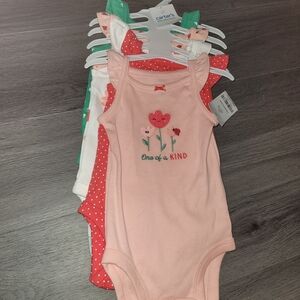 Carter's Pink and Red Floral Bodysuit Set